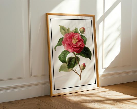 Flower Wall Decor | Pink Camellia Floral Poster