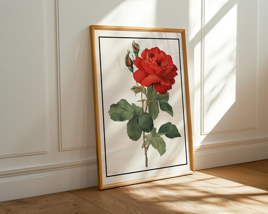 Flower Wall Decor | Vintage Red Rose Print